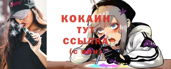 прущие грибы Михайлов