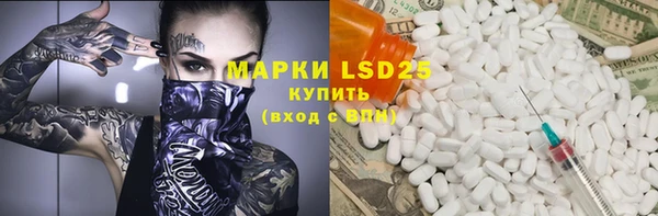 прущие грибы Михайлов