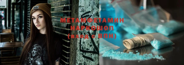 прущие грибы Михайлов