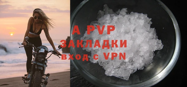 прущие грибы Михайлов