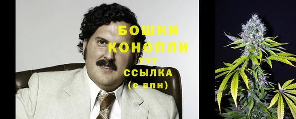 прущие грибы Михайлов