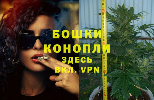 прущие грибы Михайлов