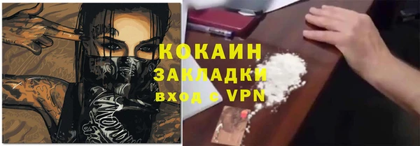 прущие грибы Михайлов