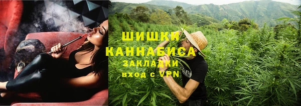 прущие грибы Михайлов