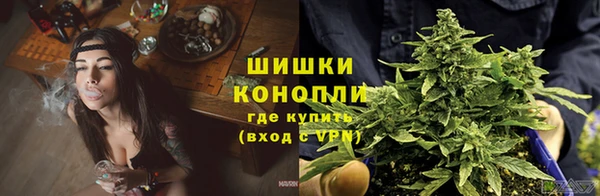 спайс Верея