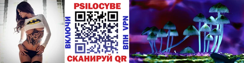 Псилоцибиновые грибы GOLDEN TEACHER  Дмитров 