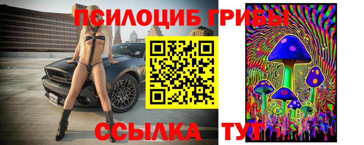 Галлюциногенные грибы мухоморы  дарнет шоп  Дмитров 