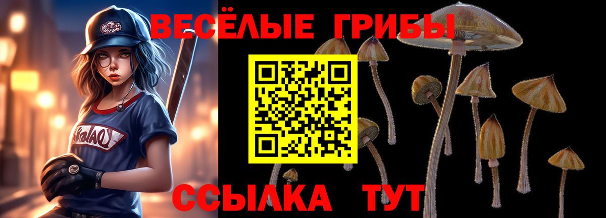 Псилоцибиновые грибы Magic Shrooms Дмитров
