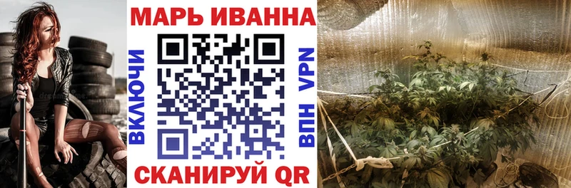 Конопля ГИДРОПОН  как найти наркотики  Дмитров 