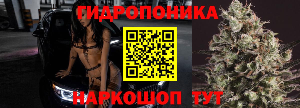 Конопля семена Дмитров